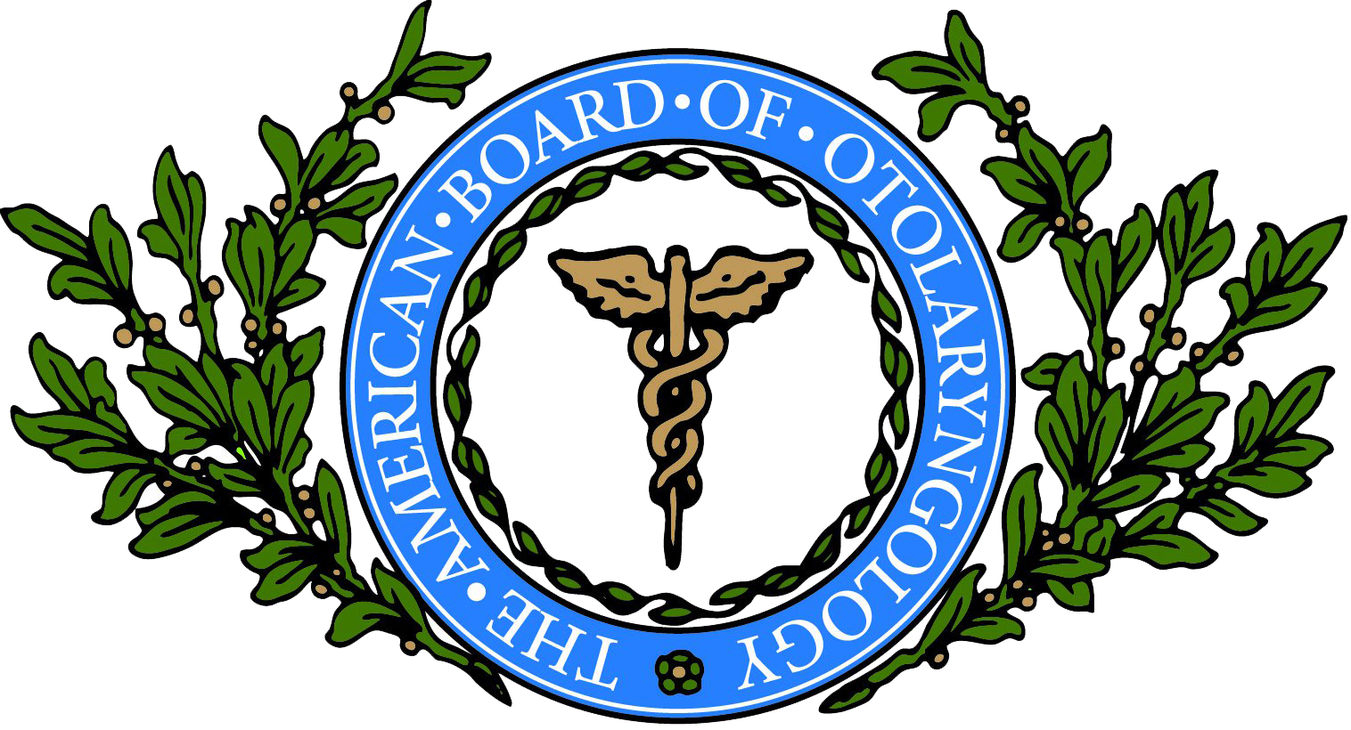 American Board of Otolaryngology/Head and Neck Surgery